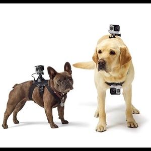 GoPro Fetch Dog Harness